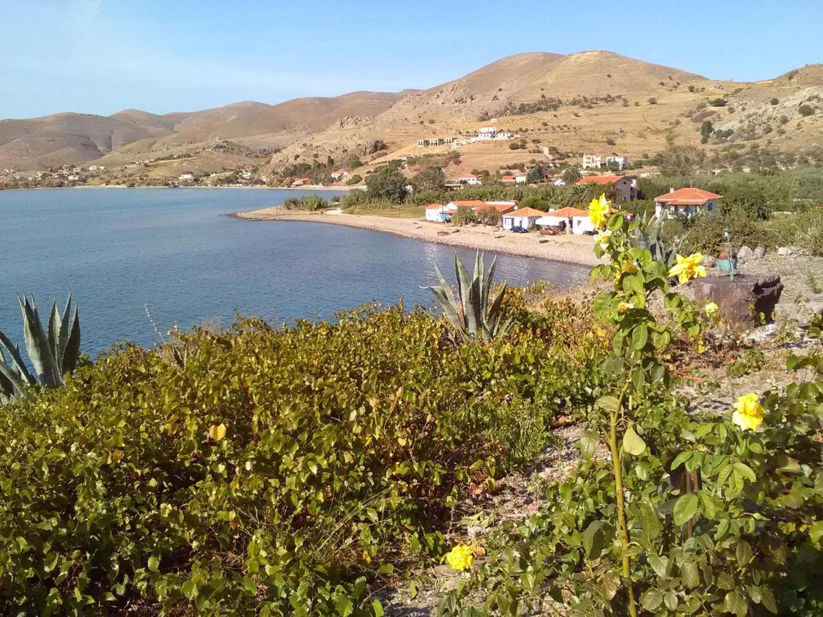 Enalion Apartments Agios Ioannis Kaspaka Eksteriør billede